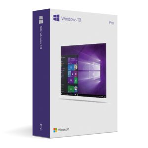 Microsoft Windows 10 Professional