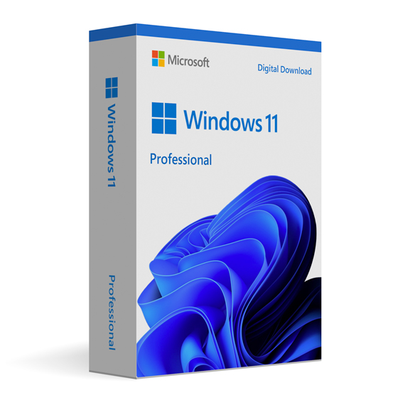 Microsoft Windows 11 Professional